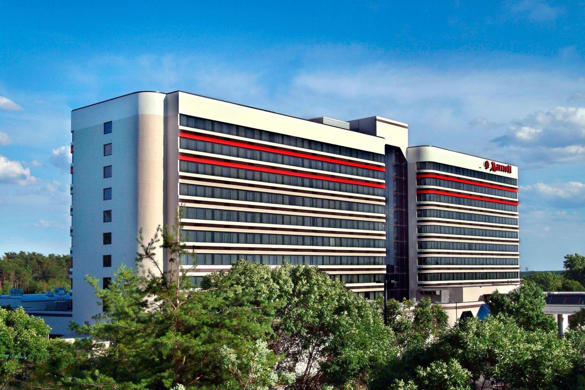 BWI Airport Marriott Hotel Linthicum Buitenkant foto